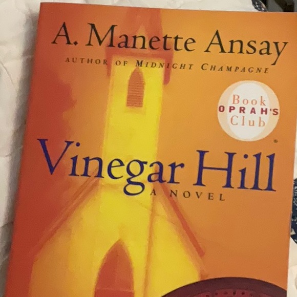 SOLD==Vinegar Hill. A Novel. A. Manette Ansay - Picture 7 of 8